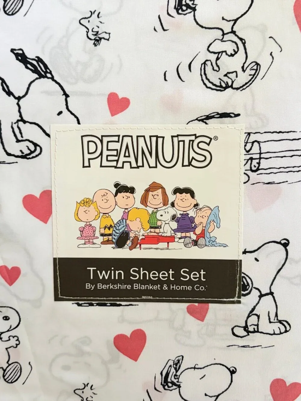 New Peanuts Snoopy Woodstock Red Hearts Active Snoopy TWIN Size Sheet Set